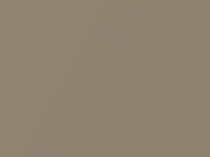 Elegant Beige Metallic touch-up paint for Chevrolet, code 65U, 2003