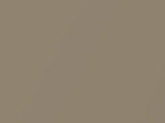 Elegant Beige Metallic touch-up paint for Chevrolet, code 65U, 2003