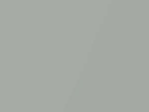 BMW Mondstein Metallic/Moonstone Metallic touch up paint S37 2011 X5