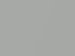 BMW Mondstein Metallic touch up paint S37 2006 Z4