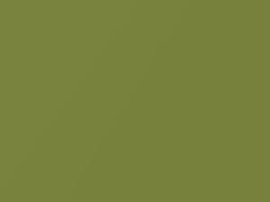 Lime Green Metallic touch-up paint for Suzuki, code Z2H, 1999