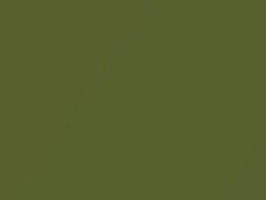 Olive Green Metallic touch-up paint for Nissan, code J10, 2005