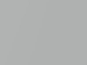 Polar Silver Metallic touch-up paint for Isuzu Medium Duty, code 845, N507 + alternatives, 2003