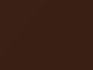 Nutmeg Metallic touch-up paint for Nissan Altima, code CS2, 1998