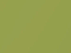 Yellow Green Mica touch-up paint for Daewoo, code 49U, 2005