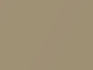 Light Beige Mica touch-up paint for Hyundai Xg, code GU, 1999
