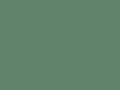 Greenbean Metallic touch-up paint for Hyundai, code UG, 2005