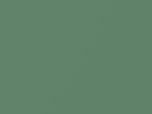Greenbean Metallic touch-up paint for Hyundai, code UG, 2005