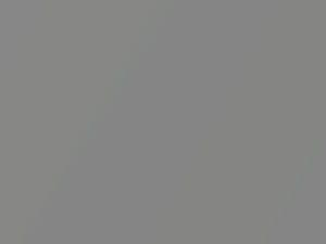 Mercedes-Benz Himalayas Gray Bright Metallic touch up paint 770 2009 All Models