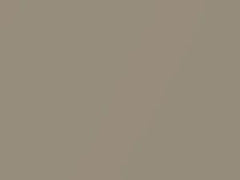 BMW Sahara Beige Metallic touch up paint 443 2005 All Models
