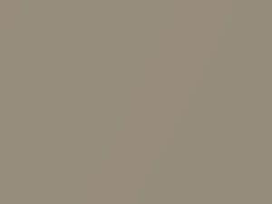 BMW Sahara Beige Metallic touch up paint 330 2002 Z3