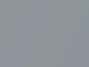 Polar Silver Metallic touch-up paint for Porsche 911 Carrera, code 92M, A8, 2007