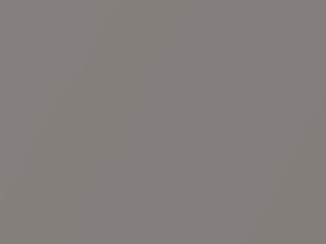 Alpine Mist Metallic touch-up paint for Toyota, code 010, 10, 1E1, 2004
