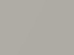 Silver Graphite Metallic touch-up paint for Toyota, code 1C5, 2000