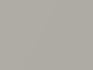 Silver Strata Metallic touch-up paint for Toyota Prius, code 1C5, 2001