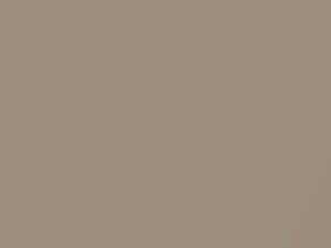 Sand Metallic touch-up paint for Cadillac Catera, code 165D, 522 + alternatives, 1999