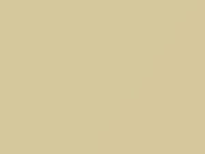 Ivory touch-up paint for Buick, code 3586, T, WA3586, 1967