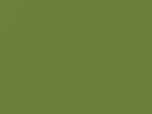 Verde Di Buon Umore Metallic touch-up paint for Fiat Qubo, code 355A, 2010
