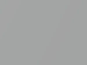 Silky Silver II Metallic touch-up paint for Suzuki S Cross, code ZCC, 2019