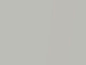 Crystal Silver Pearl touch-up paint for Toyota, code 1C1, 2005