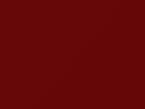 Red Hot touch-up paint for Ford, code 3RYA, 653, 2012