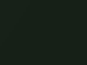 Woodland Green Metallic touch-up paint for Ford F350, code 6873, 1999