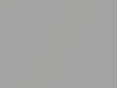 River Silver Metallic touch-up paint for Smart, code C50L, EAD, 2010