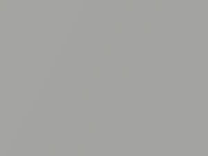 River Silver Metallic touch-up paint for Smart, code C50L, EAD, 2008