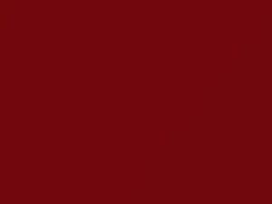Pagoda Red touch-up paint for Datsun, code 410, 524, 1967