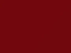 Pagoda Red touch-up paint for Datsun, code 410, 524, 1969