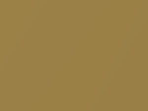 Mari Gold Metallic touch-up paint for Hyundai Atoz, code HR, 1999