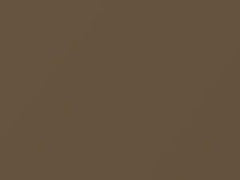 Bronze Metallic touch-up paint for Nissan Versa, code C32, 2007