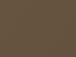 Bronze Metallic touch-up paint for Nissan Versa, code C32, 2007