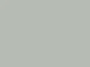 Blanco touch-up paint for Chevrolet, code 614, 2002