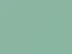 Shade Green touch-up paint for Toyota, code 6Q6, 1998