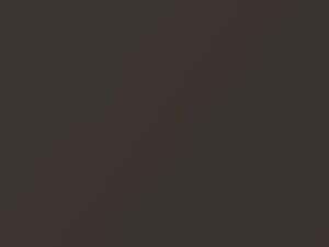 BMW M Roadster Sepang Bronze Metallic touch up paint A32 2008 RoadsterM
