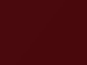 Apple Red/Apple Red Metallic touch-up paint for Ford Ecosport, code U4, 2002