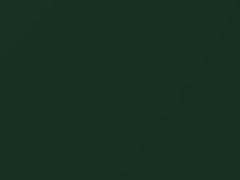 Emerald Mist Pearl touch-up paint for Honda Odyssey, code G88P, 2018
