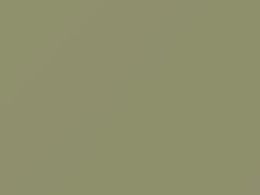 Sea Foam Green touch-up paint for Ford, code A, O, 1968–2040
