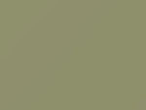 Sea Foam Green touch-up paint for Ford, code A, O, 1968–2040