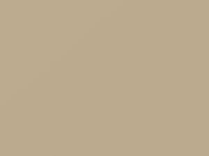 Vanilla Beige touch-up paint for Suzuki, code ZG1, 2005