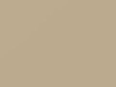 Vanilla Beige touch-up paint for Suzuki, code ZG1, 2005