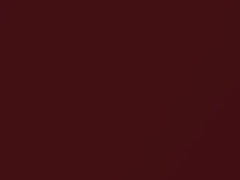 Red Metallic touch-up paint for Nissan, code BR1, 2003
