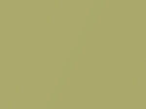 Optic Green Pearl touch-up paint for Jeep Compass, code PFG, 2010
