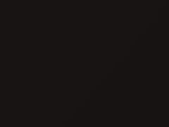 BMW Citrin Black Metallic touch up paint C49 2013 M5