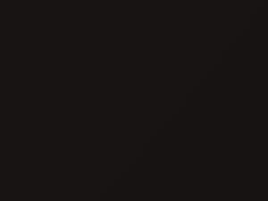 BMW 3 Series Citrin Black Metallic touch up paint C49 2013 3-SERIES