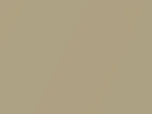 Solace Pearl Metallic touch-up paint for Ford, code 713, 9EFCWWA, 2010
