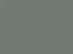 Glance Gray Metallic touch-up paint for Smart, code C59L, 2003