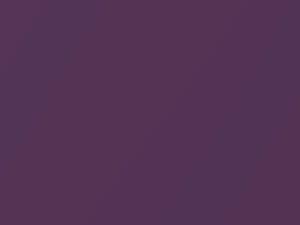 Violet Metallic touch-up paint for Daihatsu, code P05, 2003