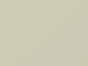 White touch-up paint for Toyota, code W09, 2020